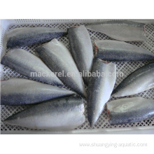 10kg Net Weight Frozen Pacific Mackerel Fillets